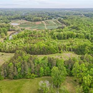 Photo #9 of 4100 High Rock, Gibsonville, NC 19.7 acres