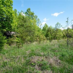 Photo #24 of 4100 High Rock, Gibsonville, NC 19.7 acres