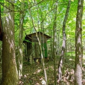 Photo #34 of 4100 High Rock, Gibsonville, NC 19.7 acres