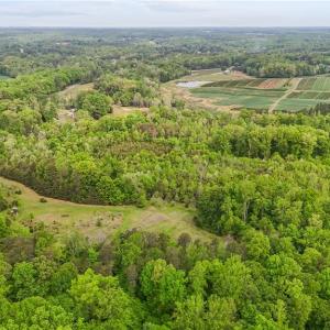 Photo #10 of 4100 High Rock, Gibsonville, NC 19.7 acres