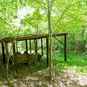 Photo #33 of 4100 High Rock, Gibsonville, NC 19.7 acres
