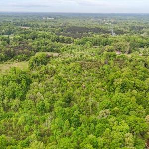 Photo #14 of 4100 High Rock, Gibsonville, NC 19.7 acres