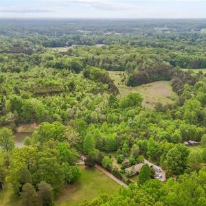 Photo #18 of 4100 High Rock, Gibsonville, NC 19.7 acres
