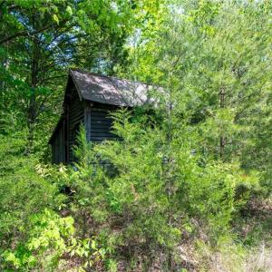 Photo #37 of 4100 High Rock, Gibsonville, NC 19.7 acres
