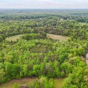 Photo #15 of 4100 High Rock, Gibsonville, NC 19.7 acres