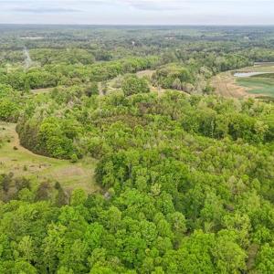 Photo #11 of 4100 High Rock, Gibsonville, NC 19.7 acres