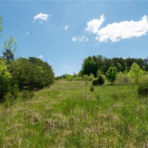 Photo #25 of 4100 High Rock, Gibsonville, NC 19.7 acres