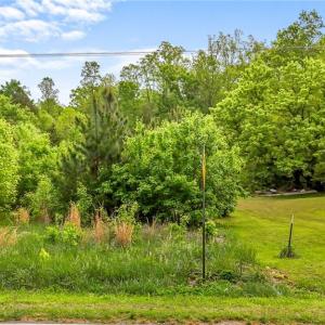 Photo #21 of 4100 High Rock, Gibsonville, NC 19.7 acres