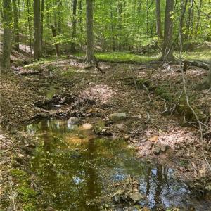 Photo #6 of Pebble Brook, Sandy Ridge, NC 4.1 acres