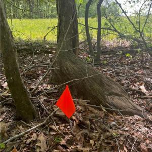 Photo #13 of Pebble Brook, Sandy Ridge, NC 4.1 acres
