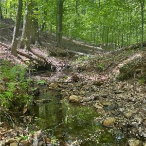 Photo #7 of Pebble Brook, Sandy Ridge, NC 4.1 acres