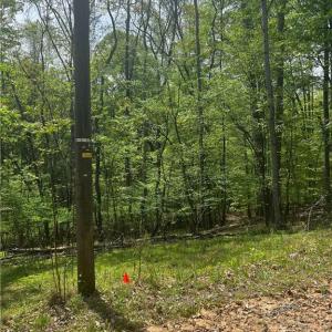 Photo #1 of Pebble Brook, Sandy Ridge, NC 4.1 acres