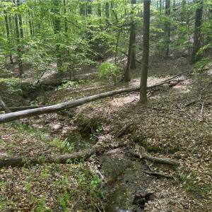 Photo #5 of Pebble Brook, Sandy Ridge, NC 4.1 acres