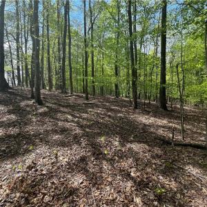 Photo #10 of Pebble Brook, Sandy Ridge, NC 4.1 acres