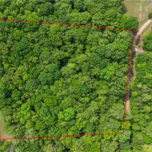 Photo #15 of Pebble Brook, Sandy Ridge, NC 4.1 acres