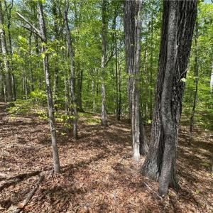 Photo #11 of Pebble Brook, Sandy Ridge, NC 4.1 acres