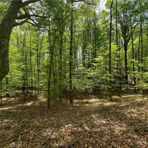 Photo #4 of Pebble Brook, Sandy Ridge, NC 4.1 acres