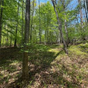 Photo #19 of Pebble Brook, Sandy Ridge, NC 4.1 acres