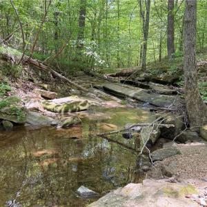 Photo #2 of Purcell, Reidsville, NC 65.1 acres