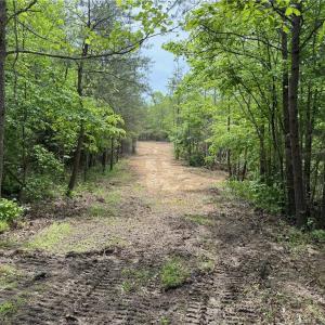 Photo #6 of Purcell, Reidsville, NC 65.1 acres