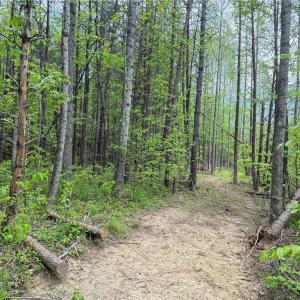 Photo #13 of Purcell, Reidsville, NC 65.1 acres