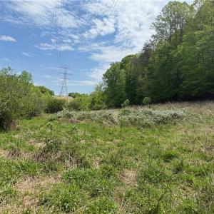 Photo #17 of Purcell, Reidsville, NC 65.1 acres