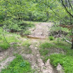 Photo #16 of Purcell, Reidsville, NC 65.1 acres