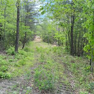 Photo #12 of Purcell, Reidsville, NC 65.1 acres