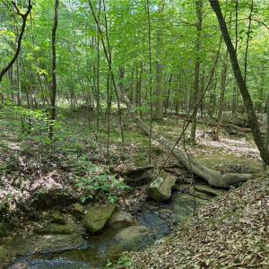 Photo #26 of Purcell, Reidsville, NC 65.1 acres