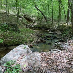 Photo #22 of Purcell, Reidsville, NC 65.1 acres