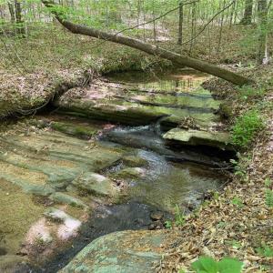Photo #3 of Purcell, Reidsville, NC 65.1 acres