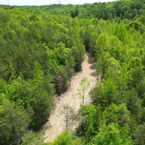 Photo #36 of Purcell, Reidsville, NC 65.1 acres