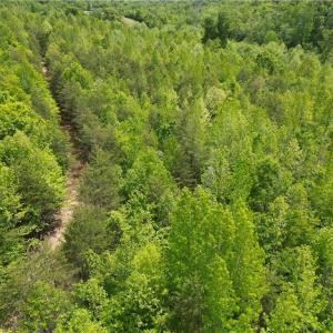 Photo #32 of Purcell, Reidsville, NC 65.1 acres