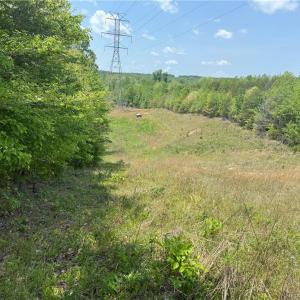 Photo #28 of Purcell, Reidsville, NC 65.1 acres
