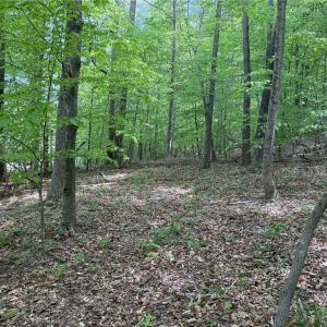 Photo #20 of Purcell, Reidsville, NC 65.1 acres