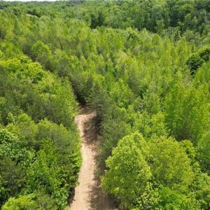 Photo #9 of Purcell, Reidsville, NC 65.1 acres