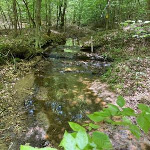 Photo #24 of Purcell, Reidsville, NC 65.1 acres
