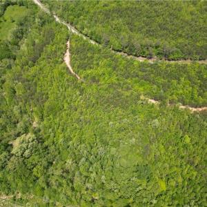 Photo #38 of Purcell, Reidsville, NC 65.1 acres