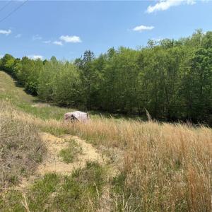 Photo #18 of Purcell, Reidsville, NC 65.1 acres