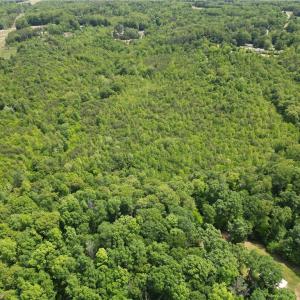 Photo #37 of Purcell, Reidsville, NC 65.1 acres