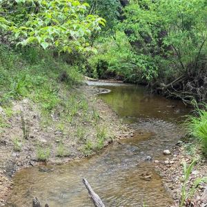 Photo #15 of Purcell, Reidsville, NC 65.1 acres