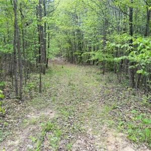 Photo #11 of Purcell, Reidsville, NC 65.1 acres