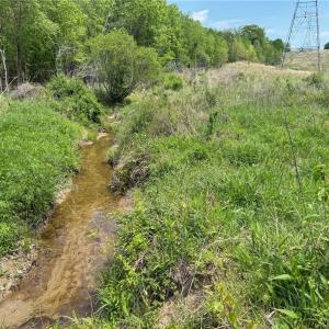 Photo #19 of Purcell, Reidsville, NC 65.1 acres