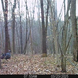 Photo #44 of Purcell, Reidsville, NC 65.1 acres