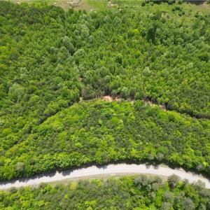 Photo #40 of Purcell, Reidsville, NC 65.1 acres