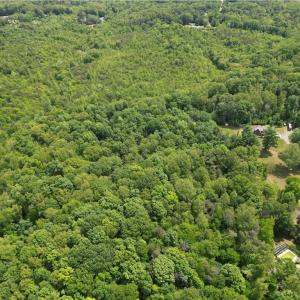 Photo #35 of Purcell, Reidsville, NC 65.1 acres