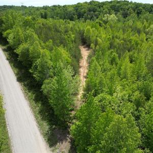 Photo #31 of Purcell, Reidsville, NC 65.1 acres
