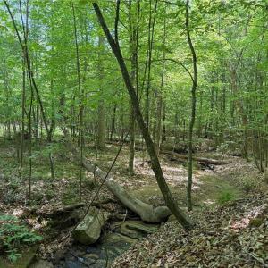 Photo #29 of Purcell, Reidsville, NC 65.1 acres