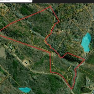 Photo #4 of Purcell, Reidsville, NC 65.1 acres