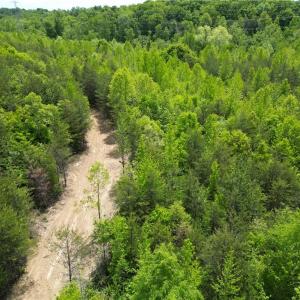 Photo #8 of Purcell, Reidsville, NC 65.1 acres